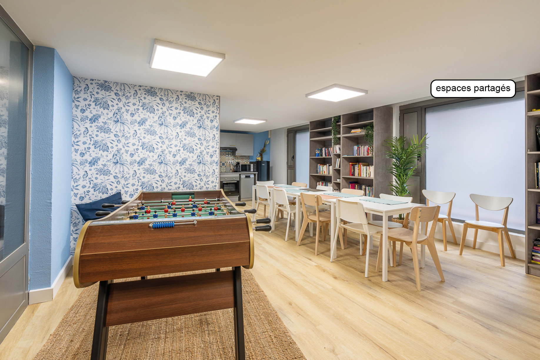 Apartment 1 pièces · 18.00 m² à LYON