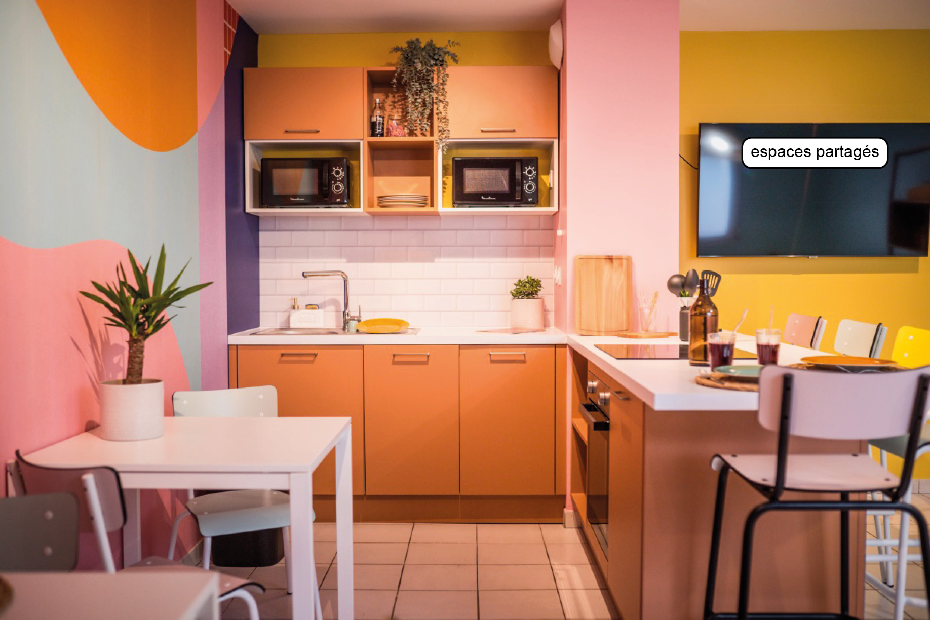 Apartment 1 pièces · 25.00 m² à MONTPELLIER
